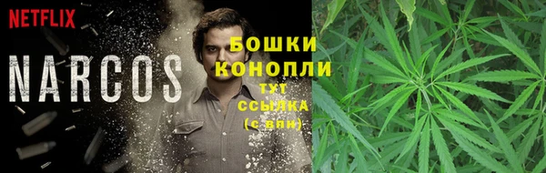 экстази Богородицк