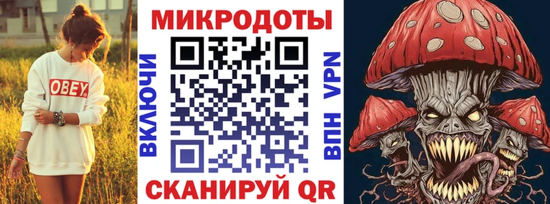 магазин продажи Пенза Галлюциногенные грибы Psilocybe